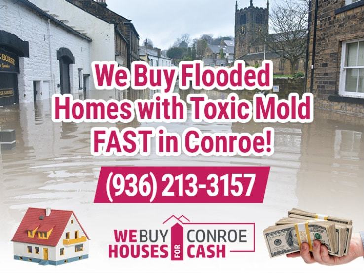conroe city water damage and mold